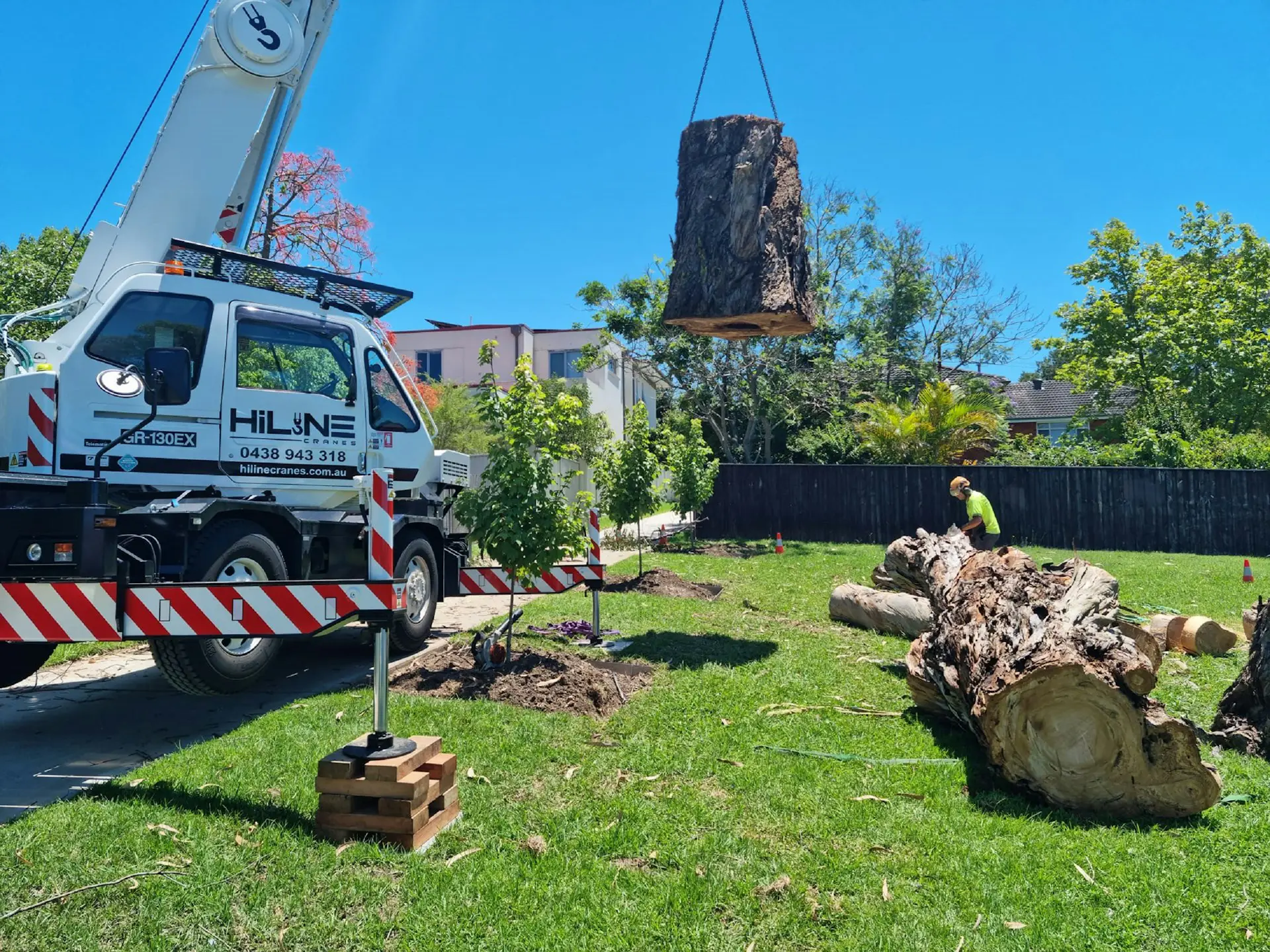 Travaux d'abattage d'arbre en toute sécurité
