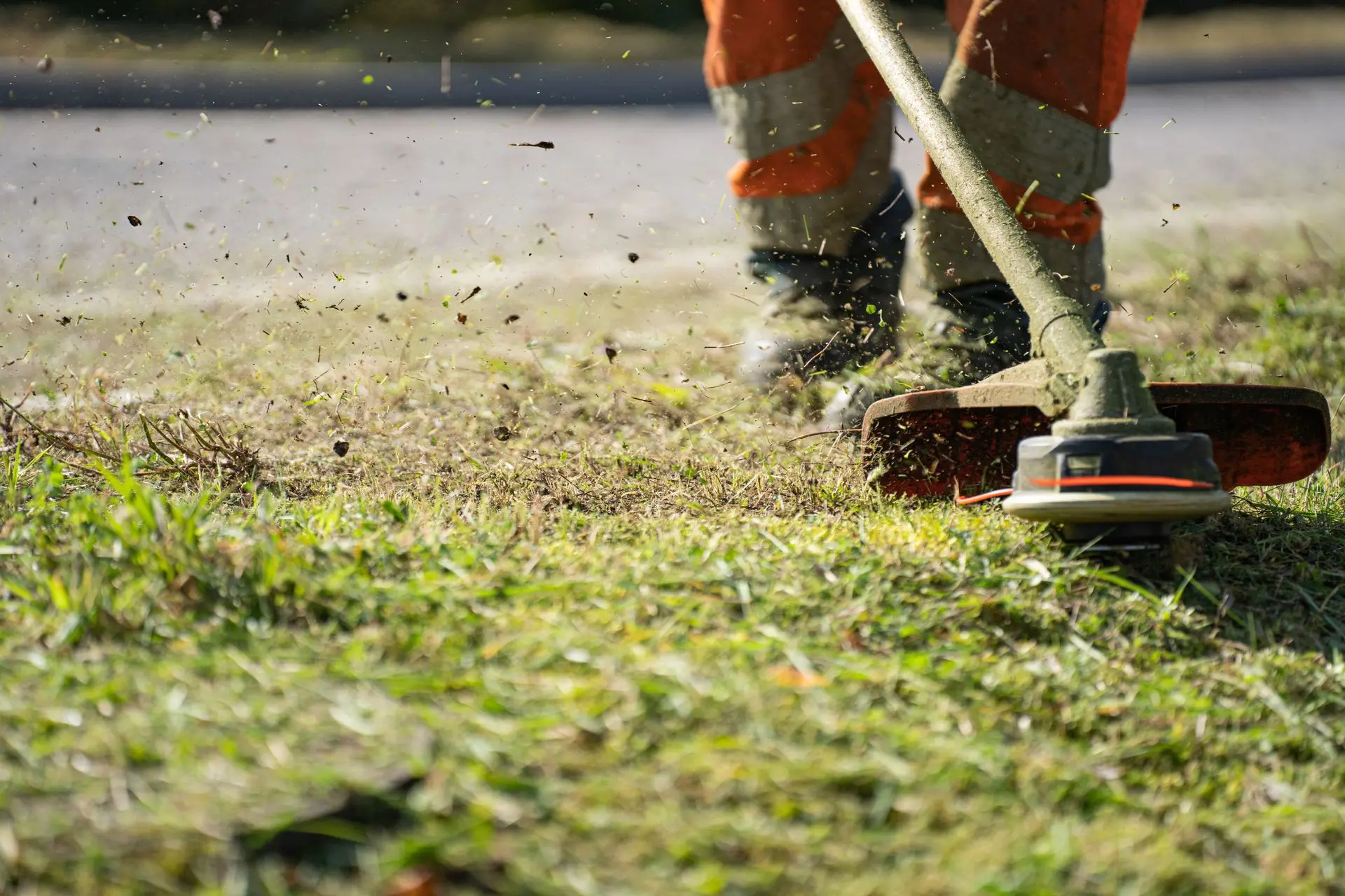 Débroussaillage d'un terrain forestier