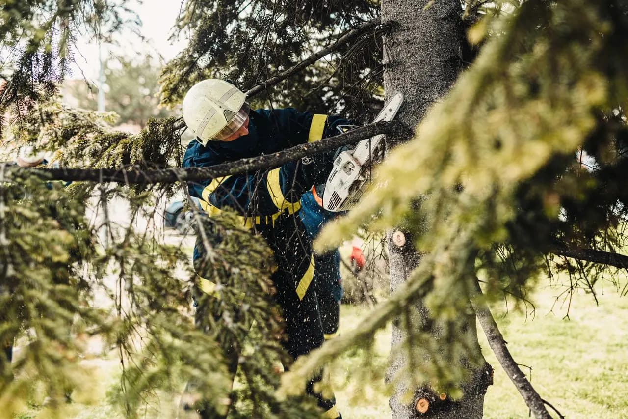 Élagueur grimpeur en pleine intervention dans un arbre