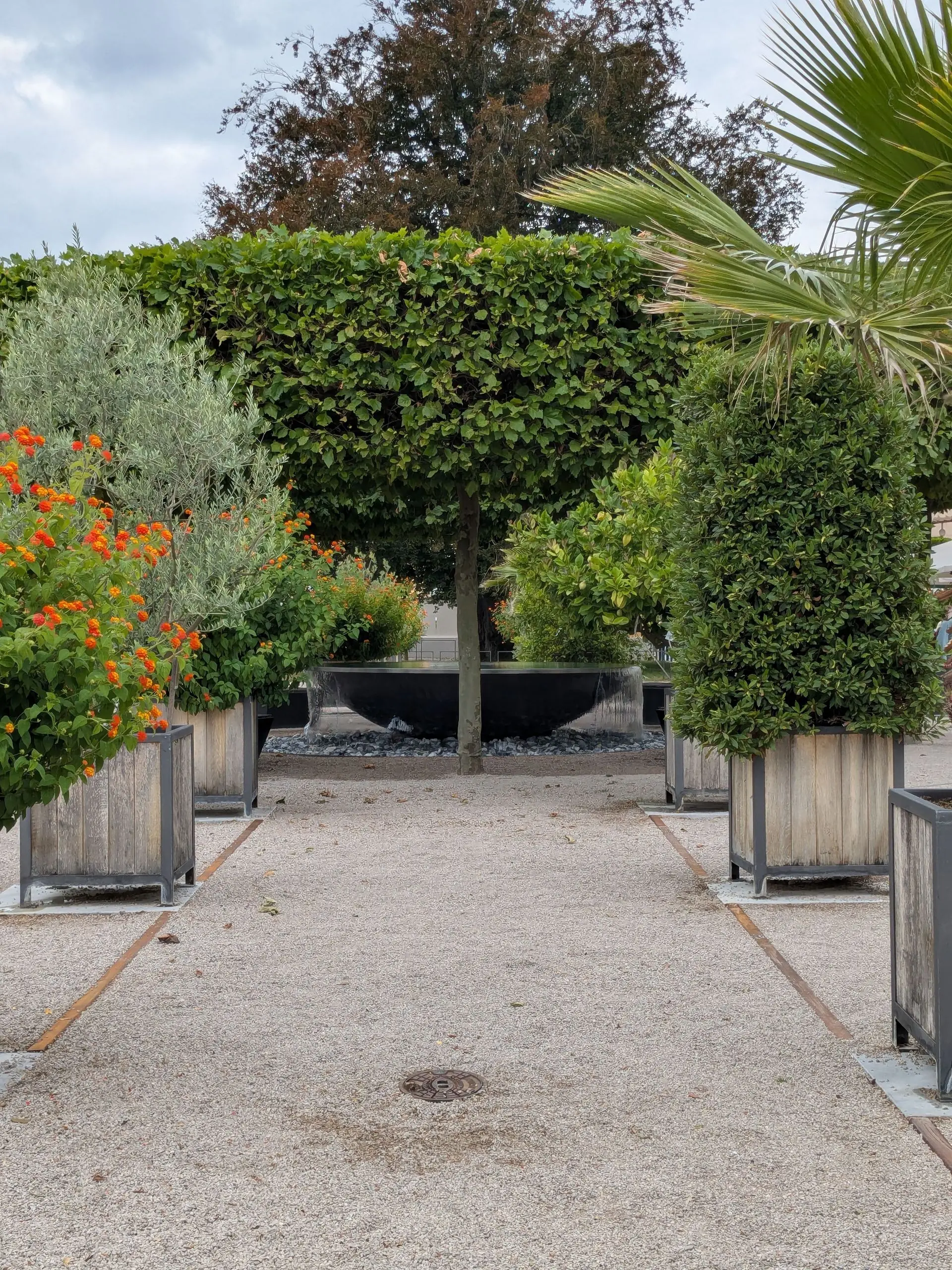 un jardin de plante et arbre